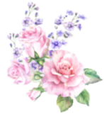 розовые светлые  (141) (147x161, 39Kb)